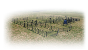 RSOSCS_5 Rough Stock Open Corral System